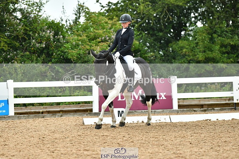 230708A-120035-02686 - Prelim 13