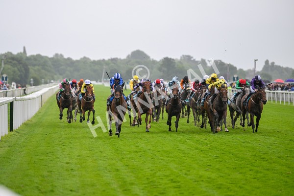 130724-Race 3-Enfjaar-7225 - Race 3 3.10pm John Smith's Cup Handicap