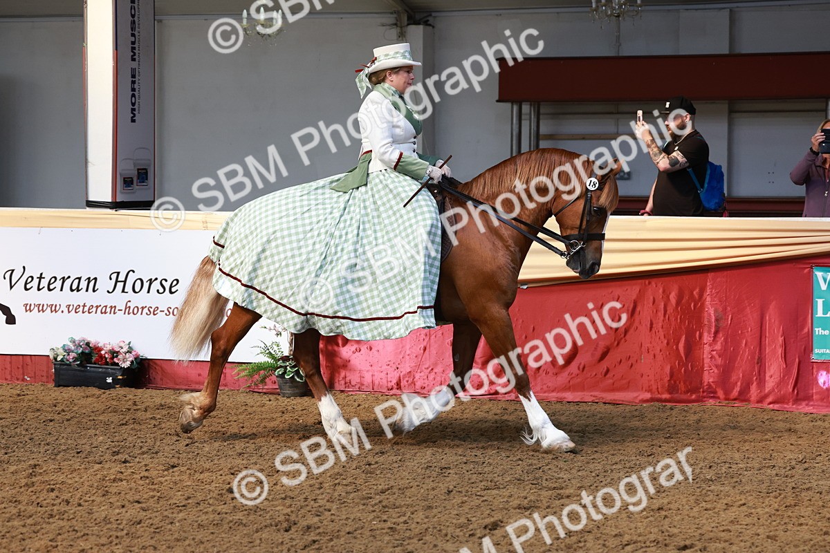 SBM_13689 - Class 106 - Ridden Costume -Astride Adult (15-19)