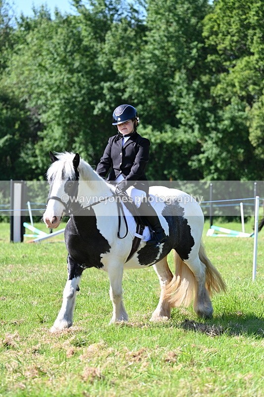 WJ7_0339 - Class 8 First Rally Pony