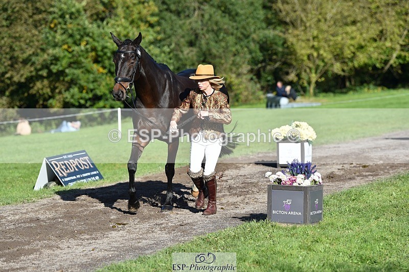 231022-111016-23773 - 465-LANGALLER.ALPHA.BRAVO-Cheryl.Beer-TrotUp+SJ