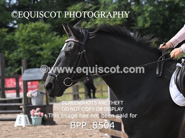 BPP_8504 - 60CM