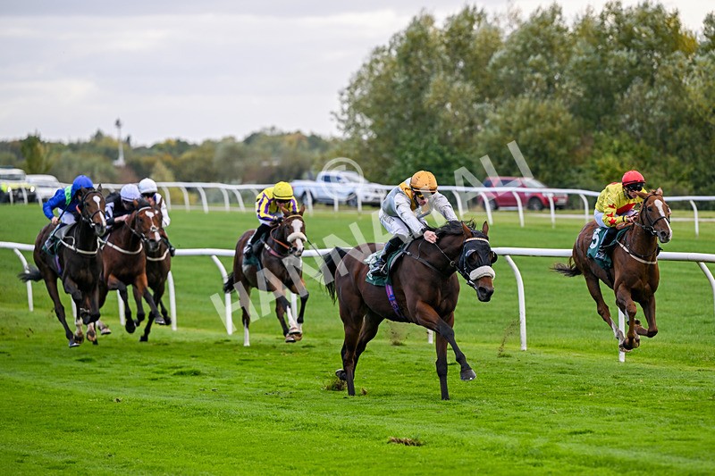171026-Race 3-Hengest-5283 - Race 3 2.10pm Download The Raceday Ready App Handicap