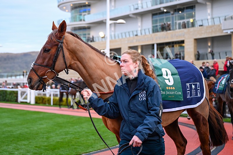 141224-Race 7-Royale Margaux-0973