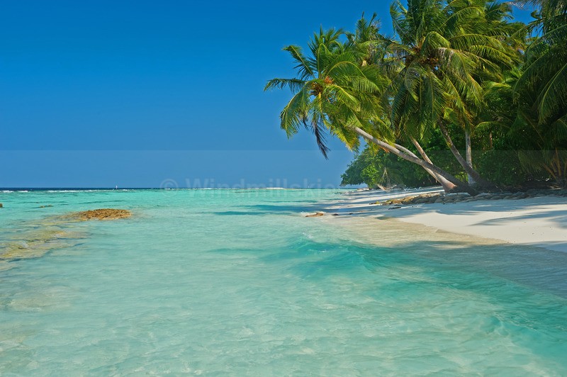 0124_74 - Maldives