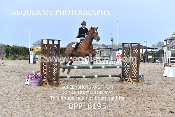 BPP_6195 - CLASS 29 SUN Club/ Unaffiliated 80cms Open