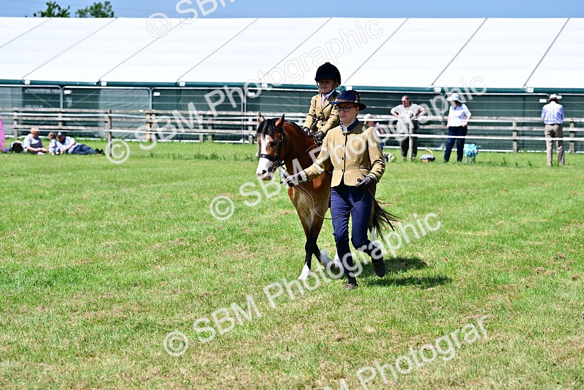 SBM_05828 - Class 59-60 - TSR M&M  Lear Rein and First Ridden Amateur of the year