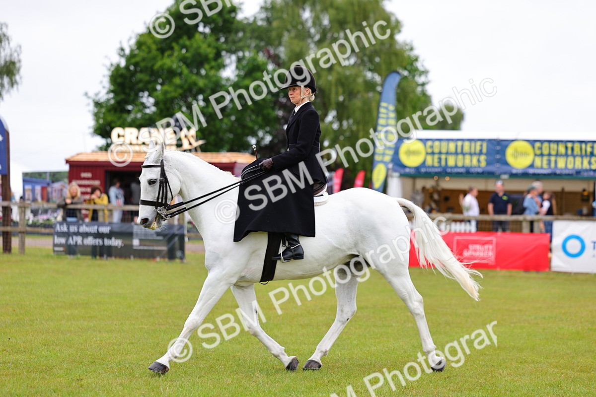 SBM_02732 - Class 9-11 Side Saddle including LIHS Rising Star Ladies Show Horse