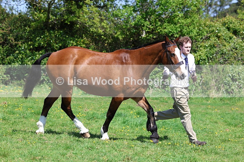 3E7A0283 - Class 19: Best Coloured in Hand