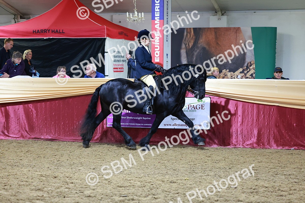 SBM_21071 - Class P - M&M Champs