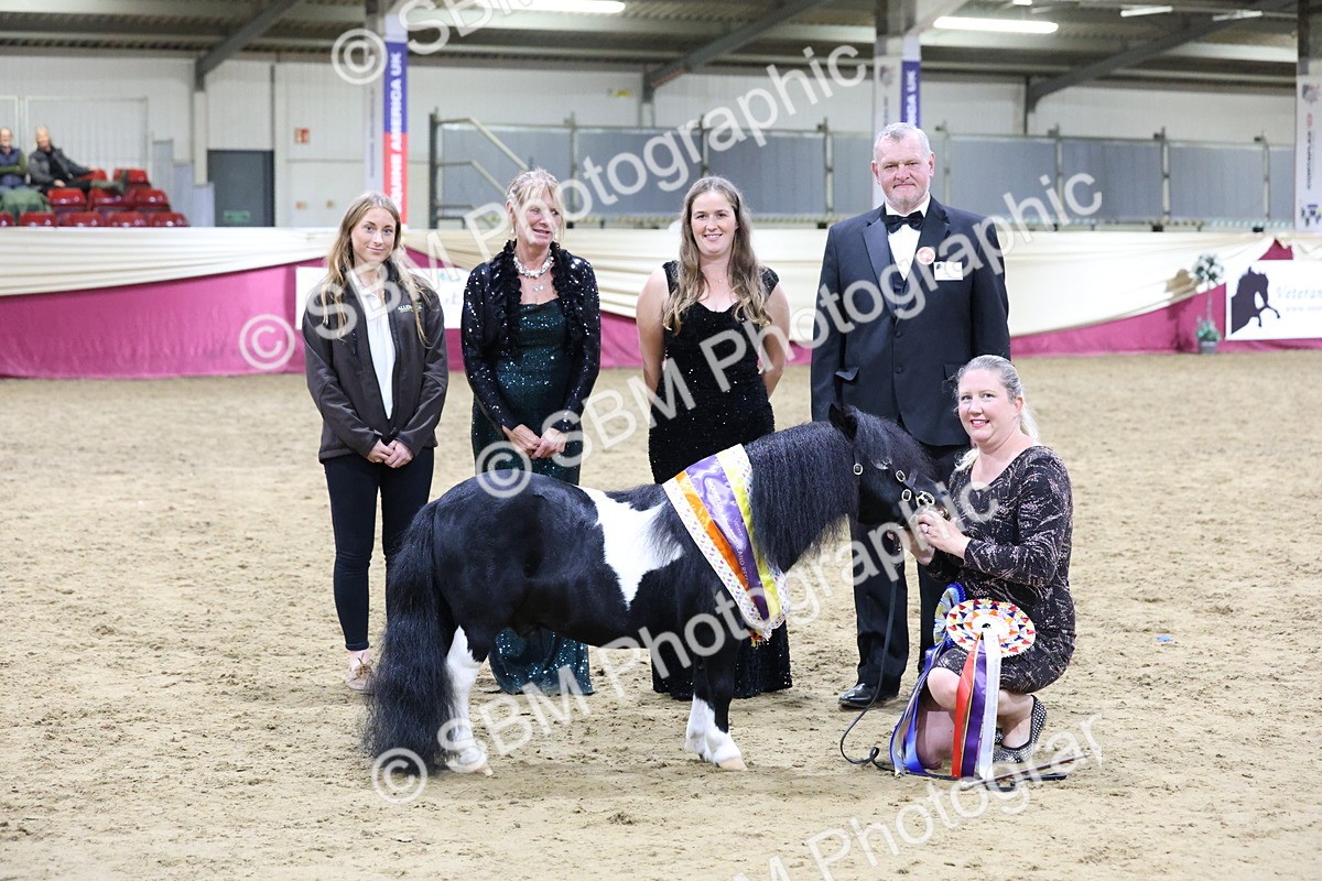 SBM_21121 - Class P - M&M Champs