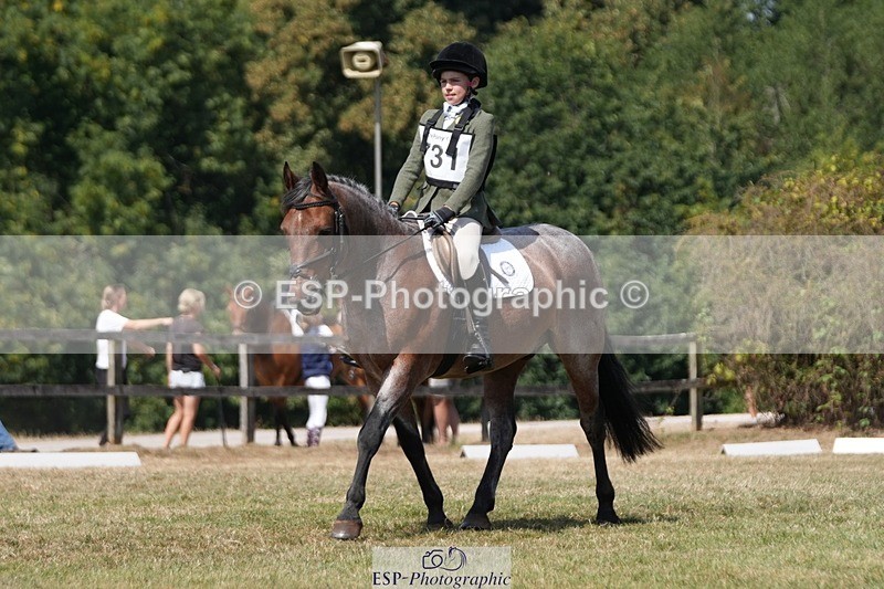 250823A-133213-31211 - Arena A