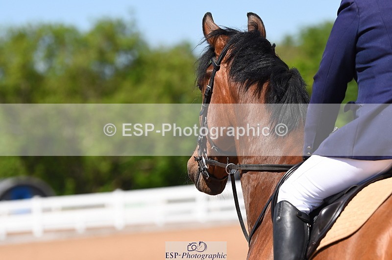 230526A-140444-01873 - Cls 11 95cm Amateur Quali