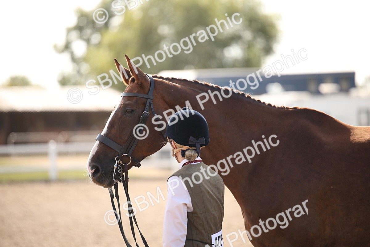 SBM_07092 - Class 25 IH Foreign Breeds- Pure bred