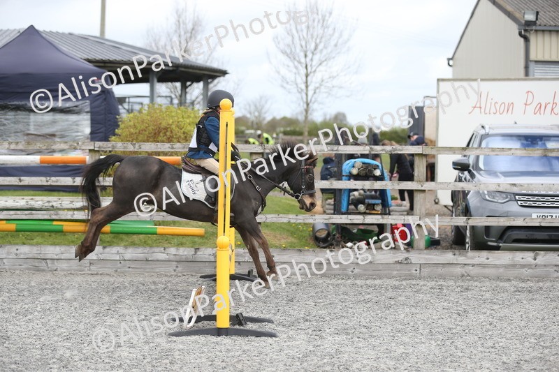 20260412-0575 - Show Jumping