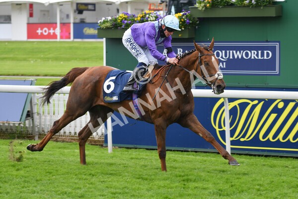 yr22052021r2-22 - Race 2 2.40pm William Hill Brontë Cup