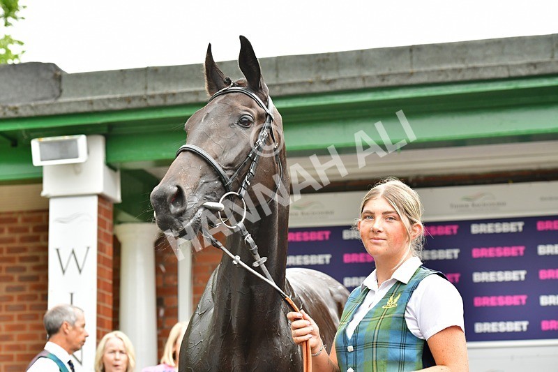 170625-Race 2-Ghaiyya-3815 - Race 2