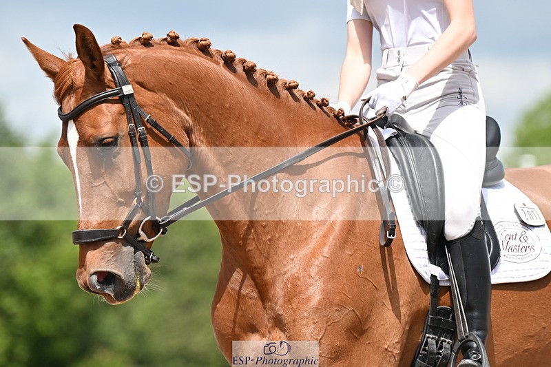 240621A-123741-02187 - Cls 7 BD Elementary 45