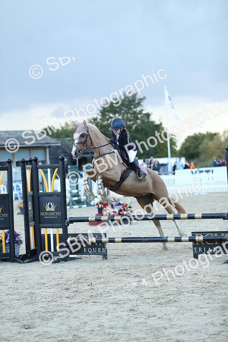 SBM_53683 - Supreme Championship 65cm 70cm