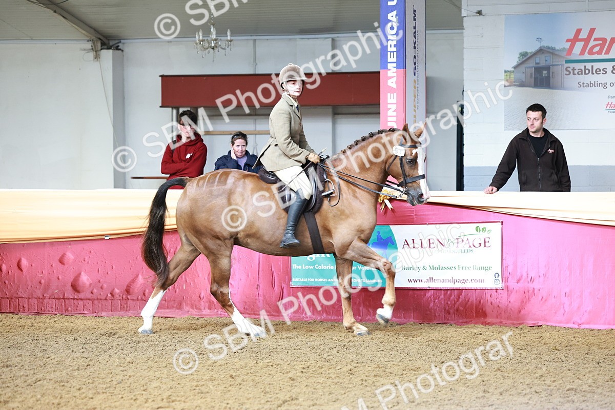 SBM_11968 - Class 102 - Equitation (Best Rider) Adult