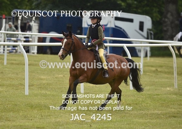 JAC_4245 - WORKING HUNTER CHAMPIONSHIP