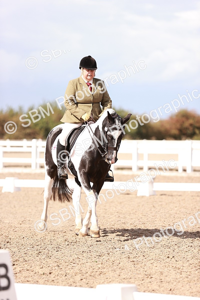 SBM_06597 - Class 39 - Medium 3