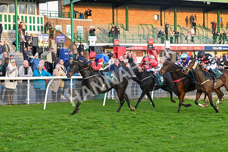 291024-Race 7-Crocodile Power-6492 - Race 7