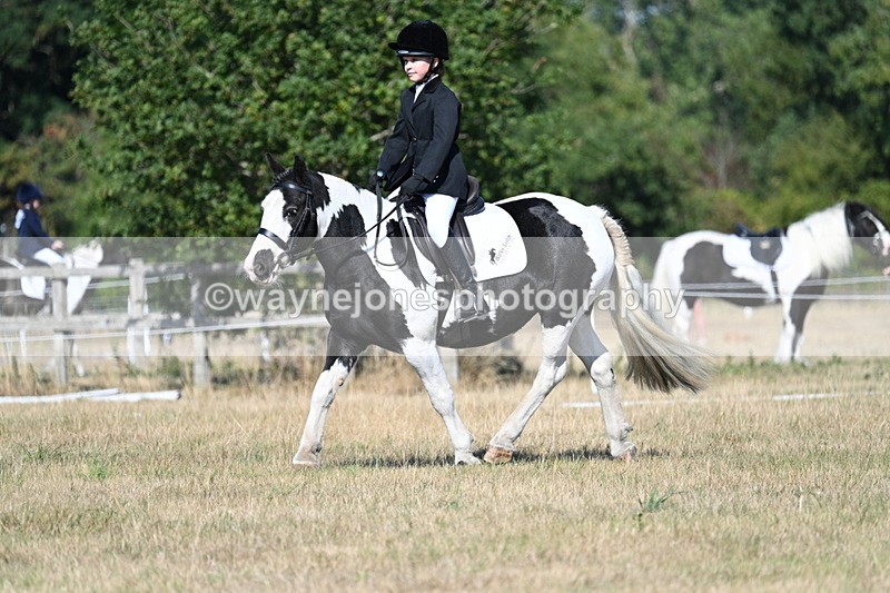 WJ7_9390 - Time 10:08 to 10:13