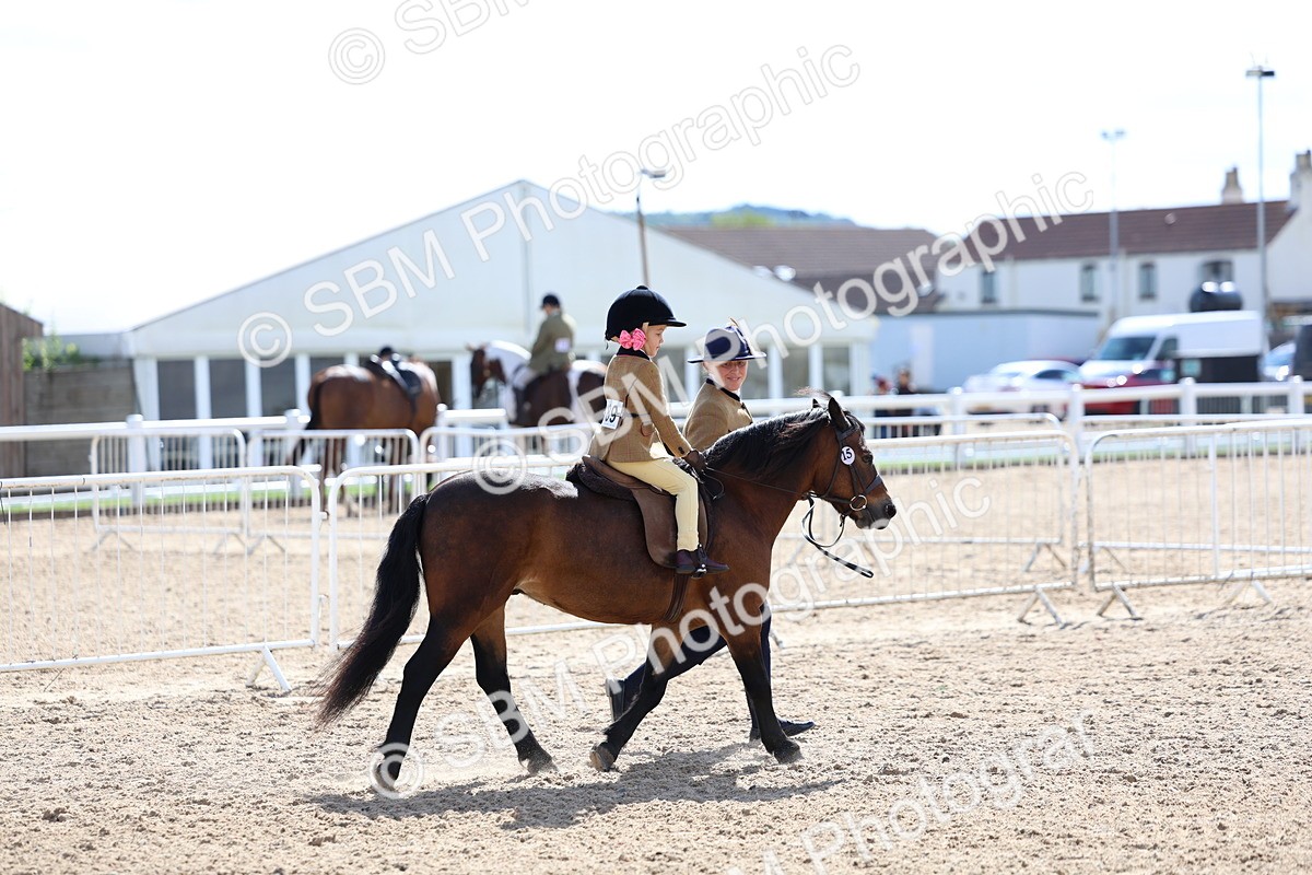 SBM_13060 - Class 309 - Lead Rein Pony