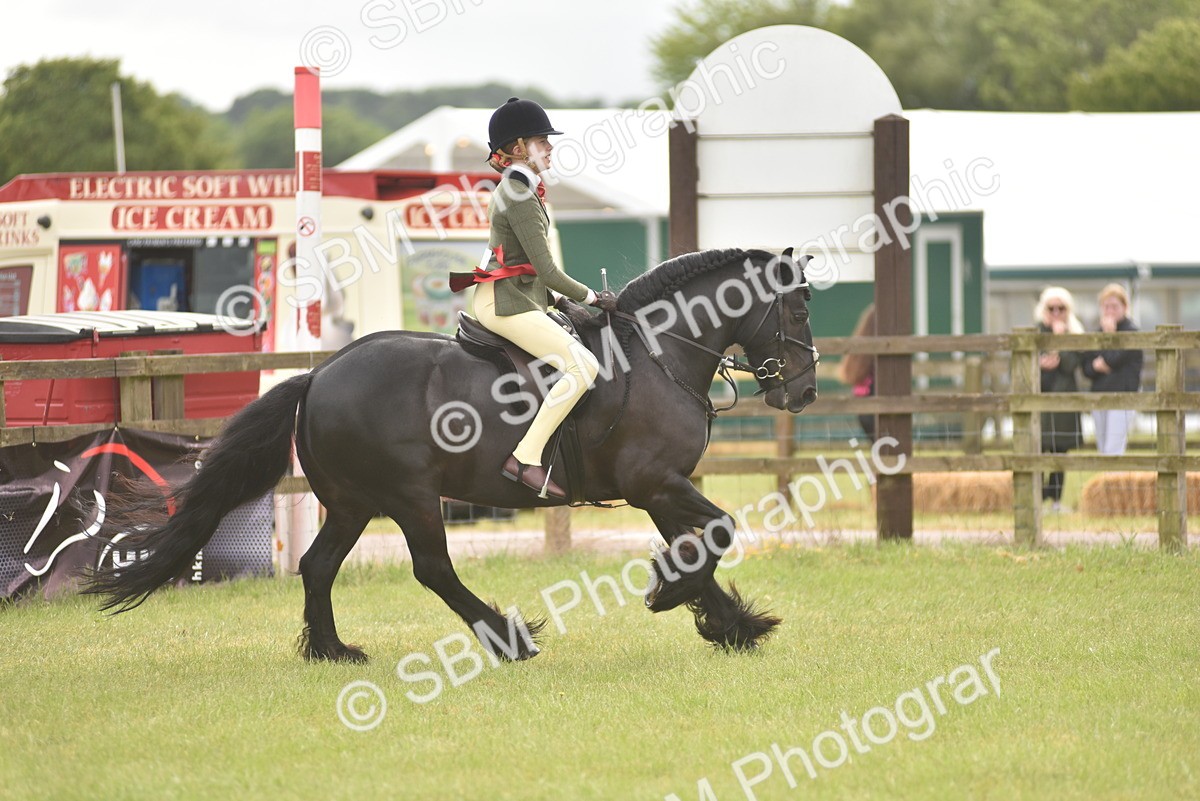 SBM_12077 - Class 110-112 - LIHS BSPS Performance Pones