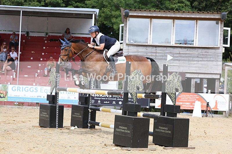 3E7A1901 - Class 9: Senior Foxhunter/1.20 open