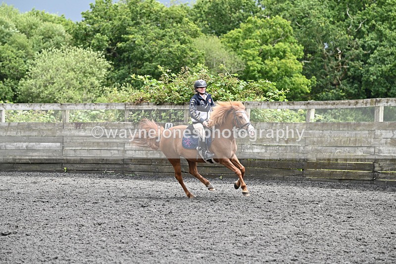 WJ6_0212 - Class 13 Novice 60cm