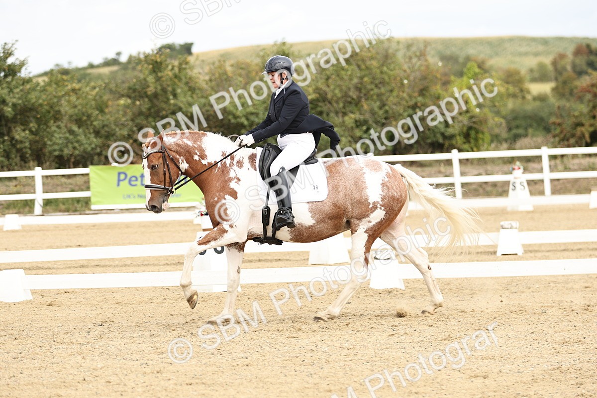 SBM_007336 - Class 25 - FEI PSG Bronze