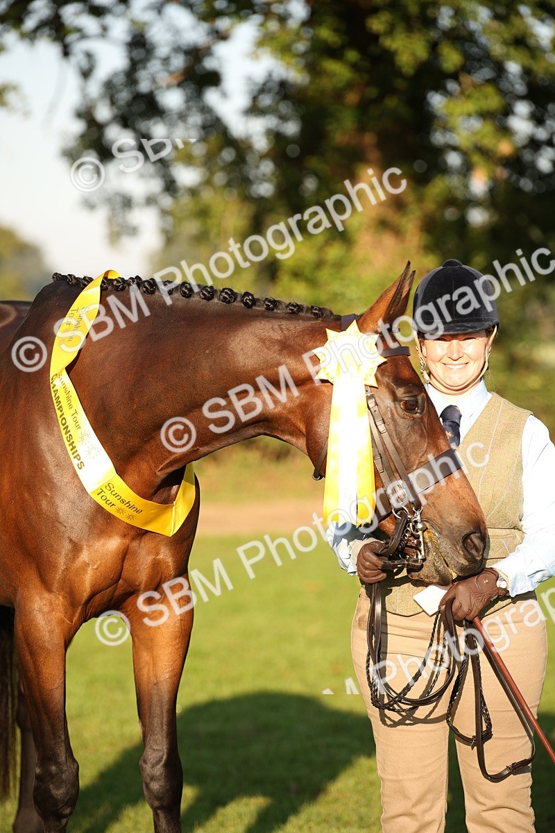 SBM_56932 - S49 - Riding Horse & Hack & Thoroughbred In Hand