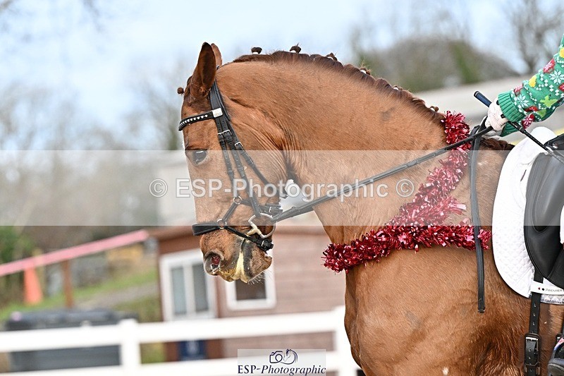 241214-150839-03118 - 137-Tyler.Bradshaw-Gijsbert