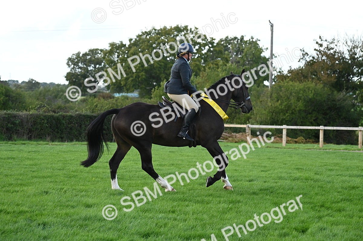 SBM_26501 - S6 - Novice & newcomer Ridden horse
