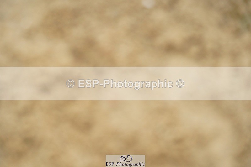 240309-143624-01241 - Cls 03 AE 90cm