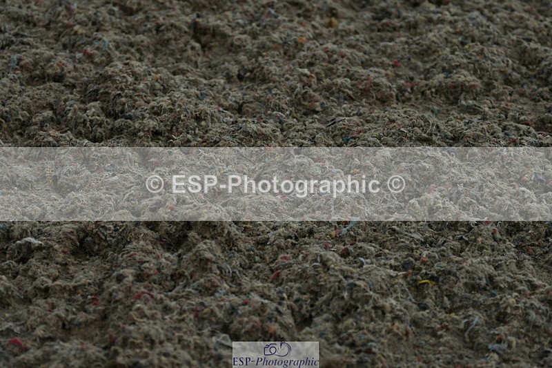 230708A-141028-02887 - Elementary 43