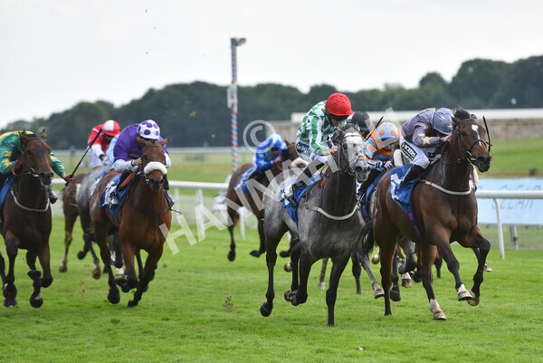 yr11062021r6-35 - Race 6 4.35pm Irish Thoroughbred Marketing Stakes