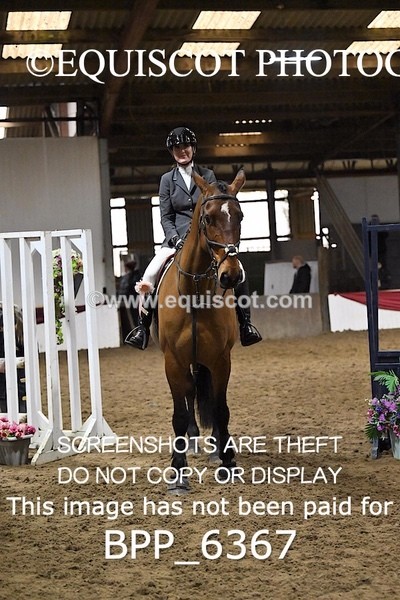 BPP_6367 - CLASS 2  Club/ Unaffiliated 80cms Open