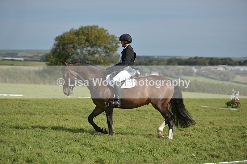 RAY_8026 - Class 2B: Trekenning Open: Dressage