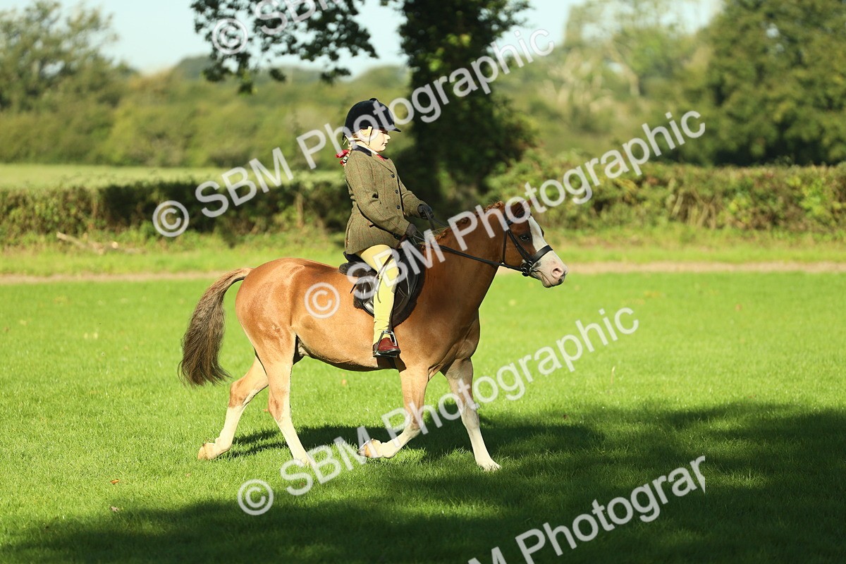 SBM_36329 - S29 - Novice & Newcomers Working Hunter Pony