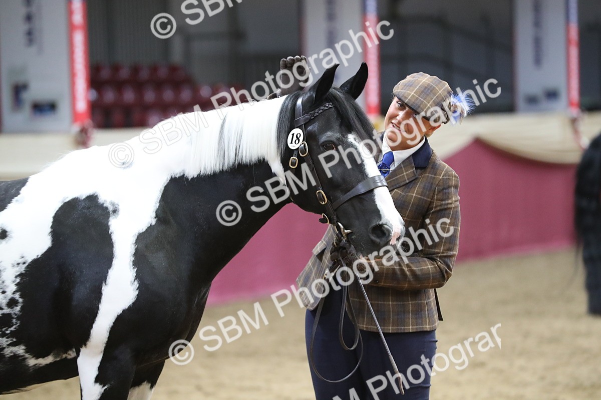 SBM_06408 - Class 9R Regional- IH Pre Vet
