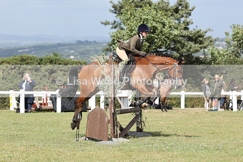 JPP_2622 - Class 20: Working Hunter 70cm