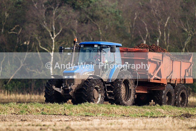 20130216-_MG_2361 - Miscellaneous Photographs