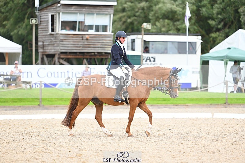 230813-133829-07613 - Cls 13 Medium Bronze 13.15 to End