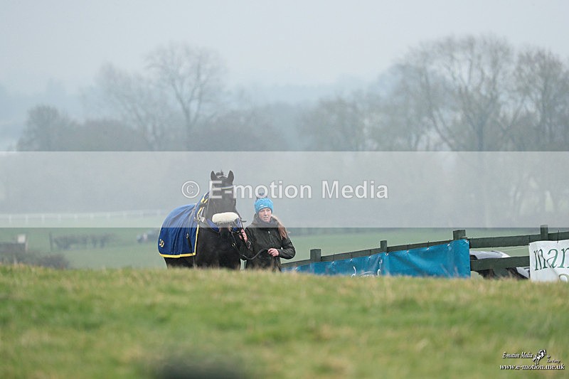 PtP 100324 453 - Pytchley with Woodland Point-to-Point Guilsborough 10/03/24
