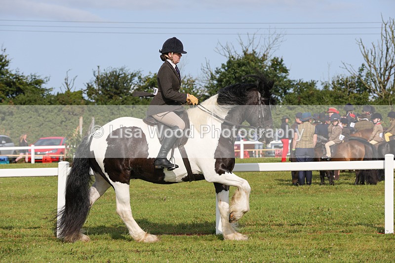 1X9A3131 - Class 27:  Ridden Native/Trad Coloured Horse