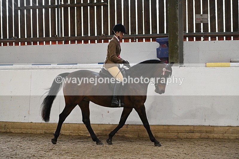 WJ7_4479 - Afternoon Champs