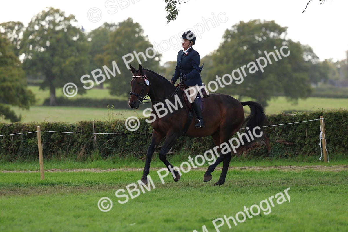 SBM_47690 - S28 - Veteran Ridden